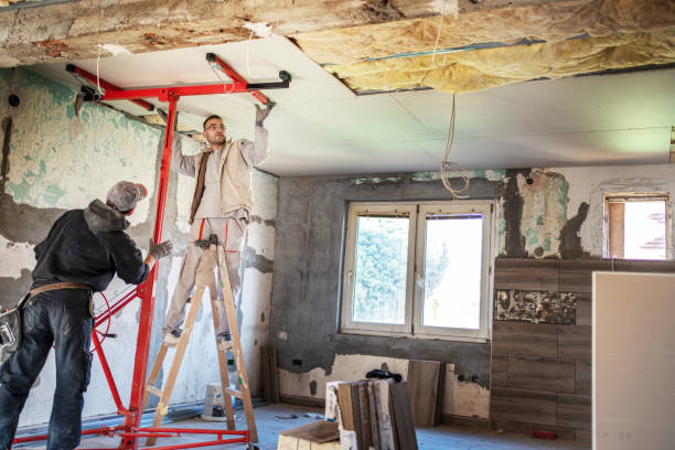 Eco-Friendly or Green Insulation Solutions in Winter Springs, FL